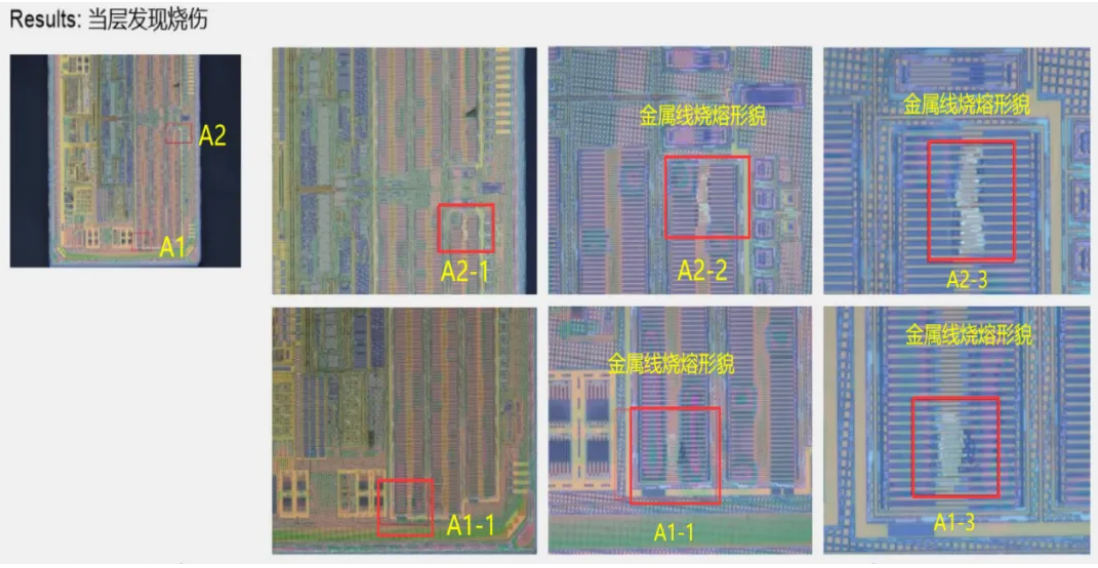 在芯片晶圓M1層可見燒熔點，而芯片其他部位均無形貌異常